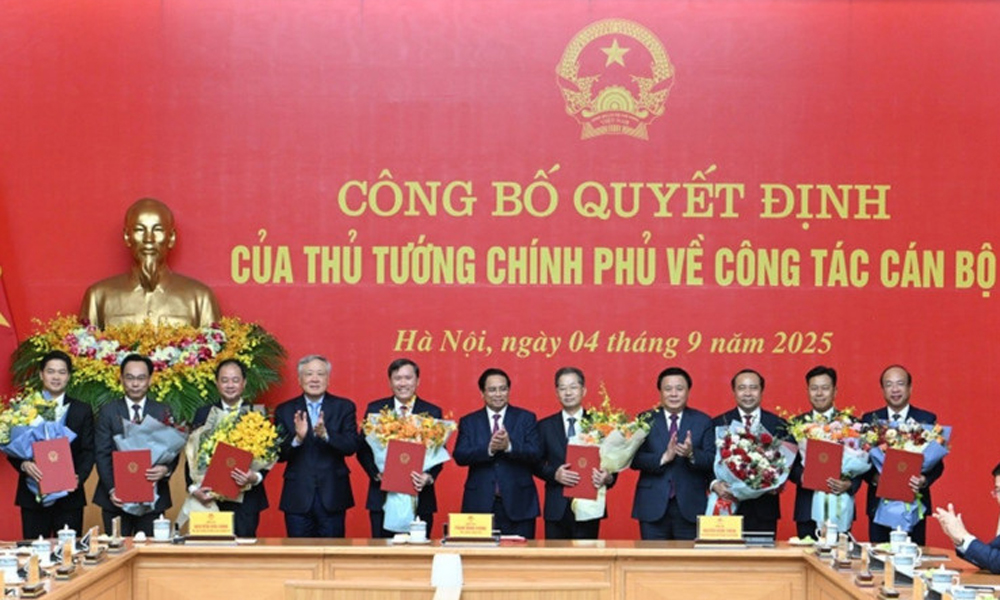  Công bố Quyết định của Thủ tướng Chính phủ về công tác cán bộ